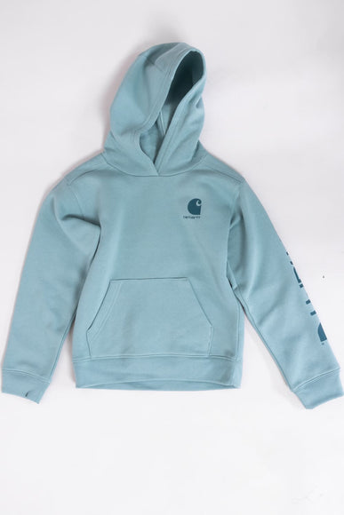 Carhartt Youth Classic Pullover Hoodie in Patina Green