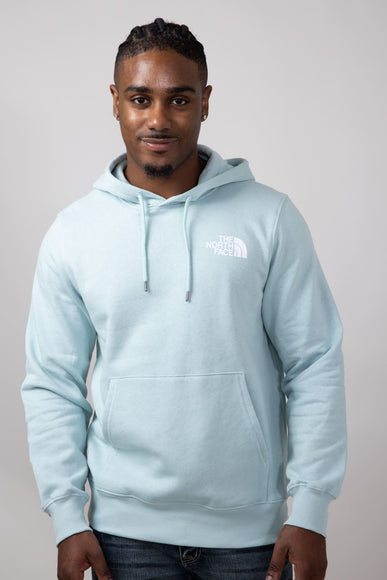 The North Face Box Logo Hoodie for Men in Muted Pine