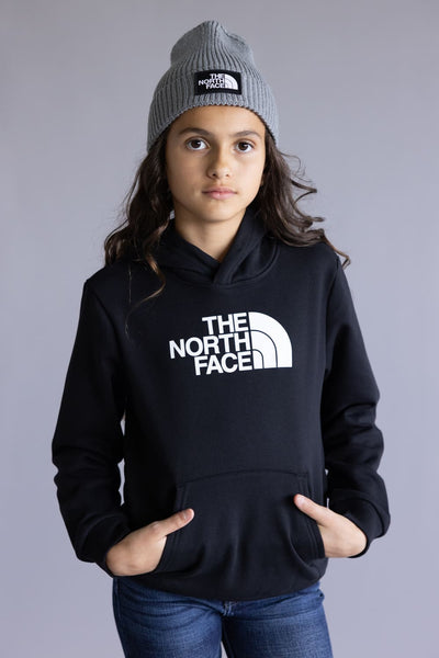 The North Face Teen Evolution Half Dome Hoodie in Black