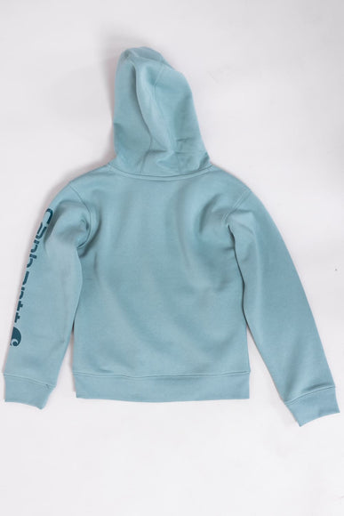 Carhartt Youth Classic Pullover Hoodie in Patina Green