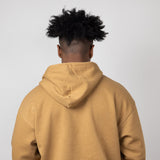 The North Face Evolution Vintage Hoodie for Men in Brown