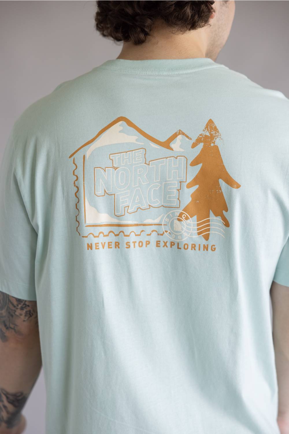 The North Face Mountain Stamp Tee for Men in Opal Frost | NF0A8GPV