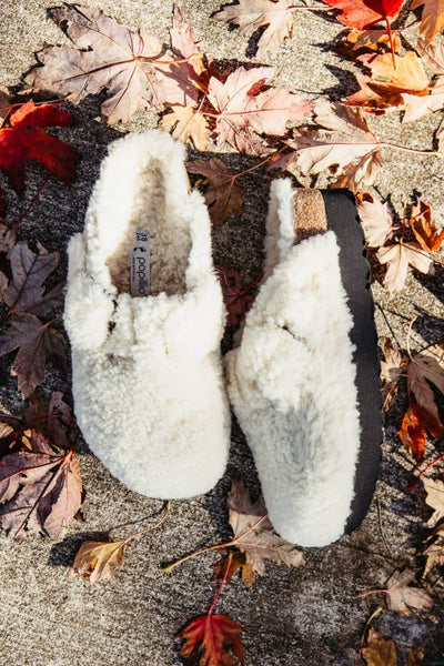 Papillio by Birkenstock Boston Teddy Platform Clogs for Women in Eggshell