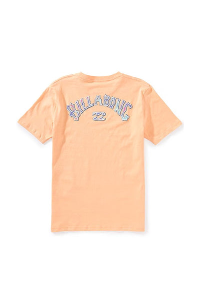 Billabong Youth Throwback T-Shirt for Boys in Peach | BSSIA35F-832