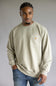 Carhartt Terry Crewneck Sweatshirt for Men in Greige