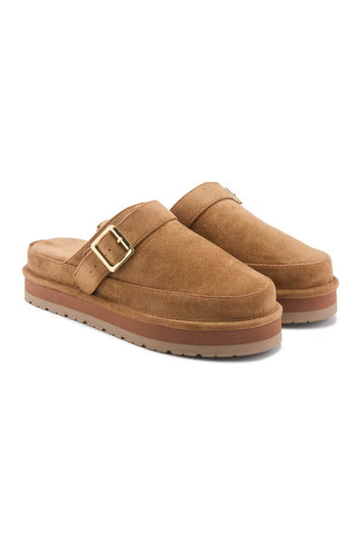 Madden Girl Graham Clogs for Women in Tan
