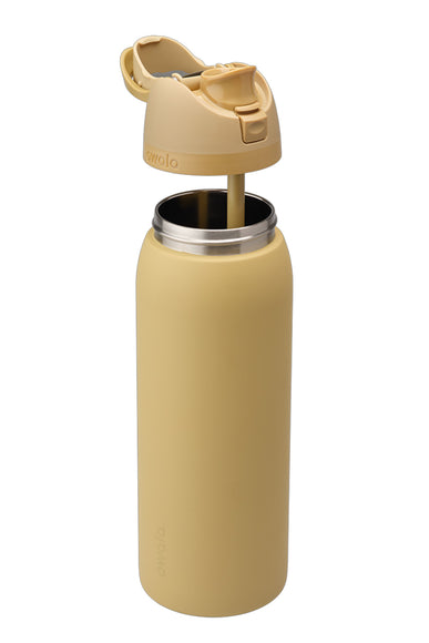 Owala FreeSip 40 oz Stainless Steel Water Bottle in Autumn Vista
