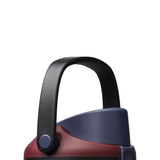 Owala FreeSip Sway 30 oz Stainless Steel Water Bottle in Burgundy Bay