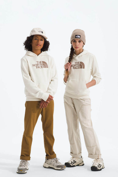The North Face Teen Evolution Half Dome Hoodie in White Dune