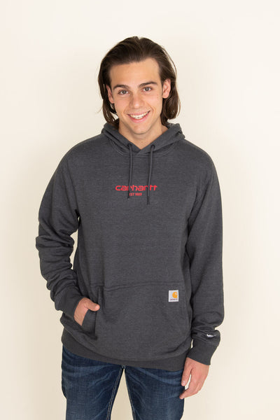 Carhartt Lightweight Hoodie for Men in Grey