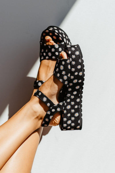 Dirty Laundry Junebug Daisy Platform Wedges for Women in Black
