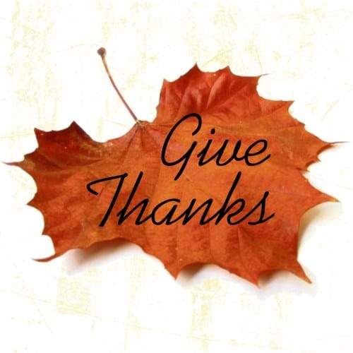 What Are You Thankful For? – Glik's