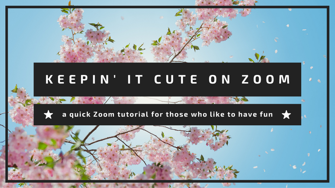 Keepin' it Cute on Zoom: A Quick Tutorial