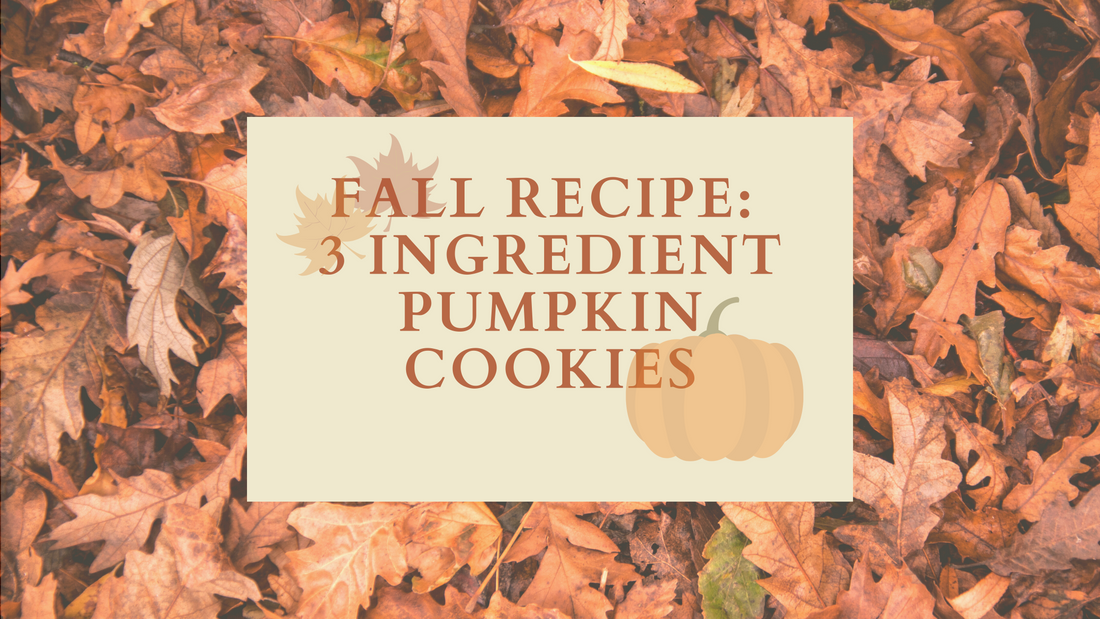 Fall Recipe: 3 Ingredient Pumpkin Cookies