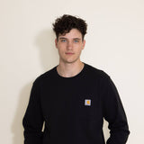 Carhartt Heavyweight Long Sleeve Pocket Mountain Graphic T-Shirt for Men in Black