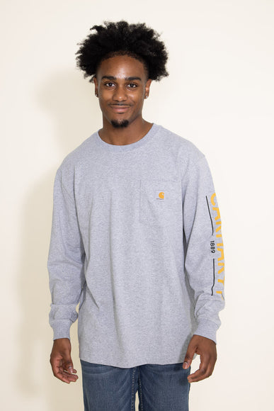 Carhartt Loose Fit Heavyweight Long Sleeve Fish Graphic T-Shirt for Men in Grey 