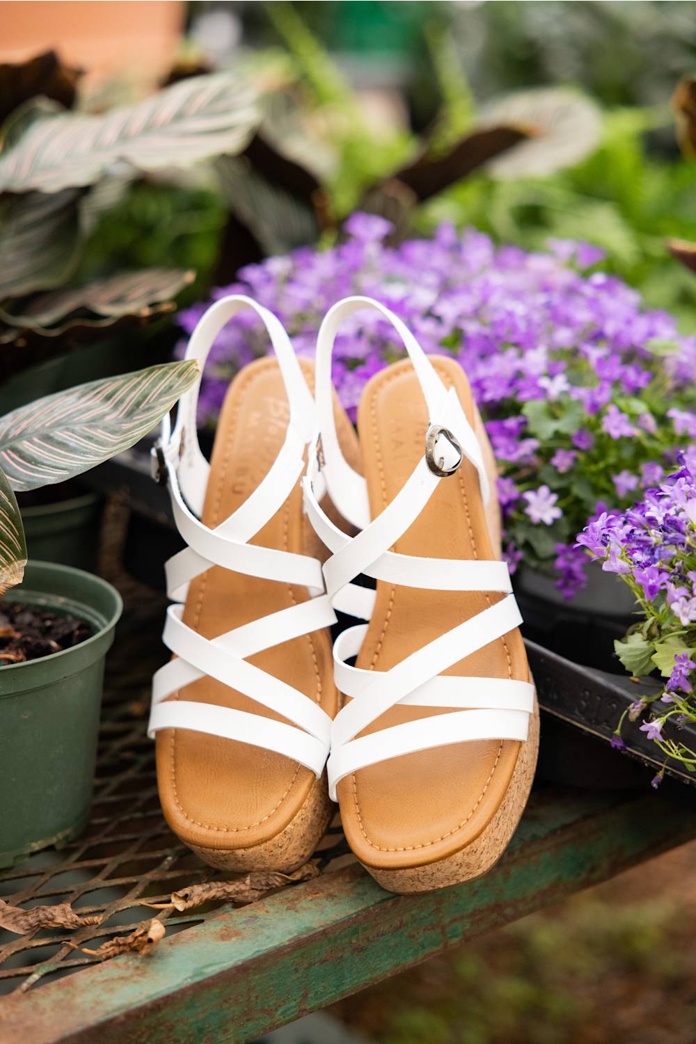 Blowfish Malibu Aurora Wedge Sandals for Women in White