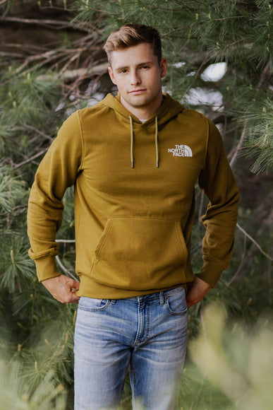 The North Face Box Logo Hoodie for Men in Green 