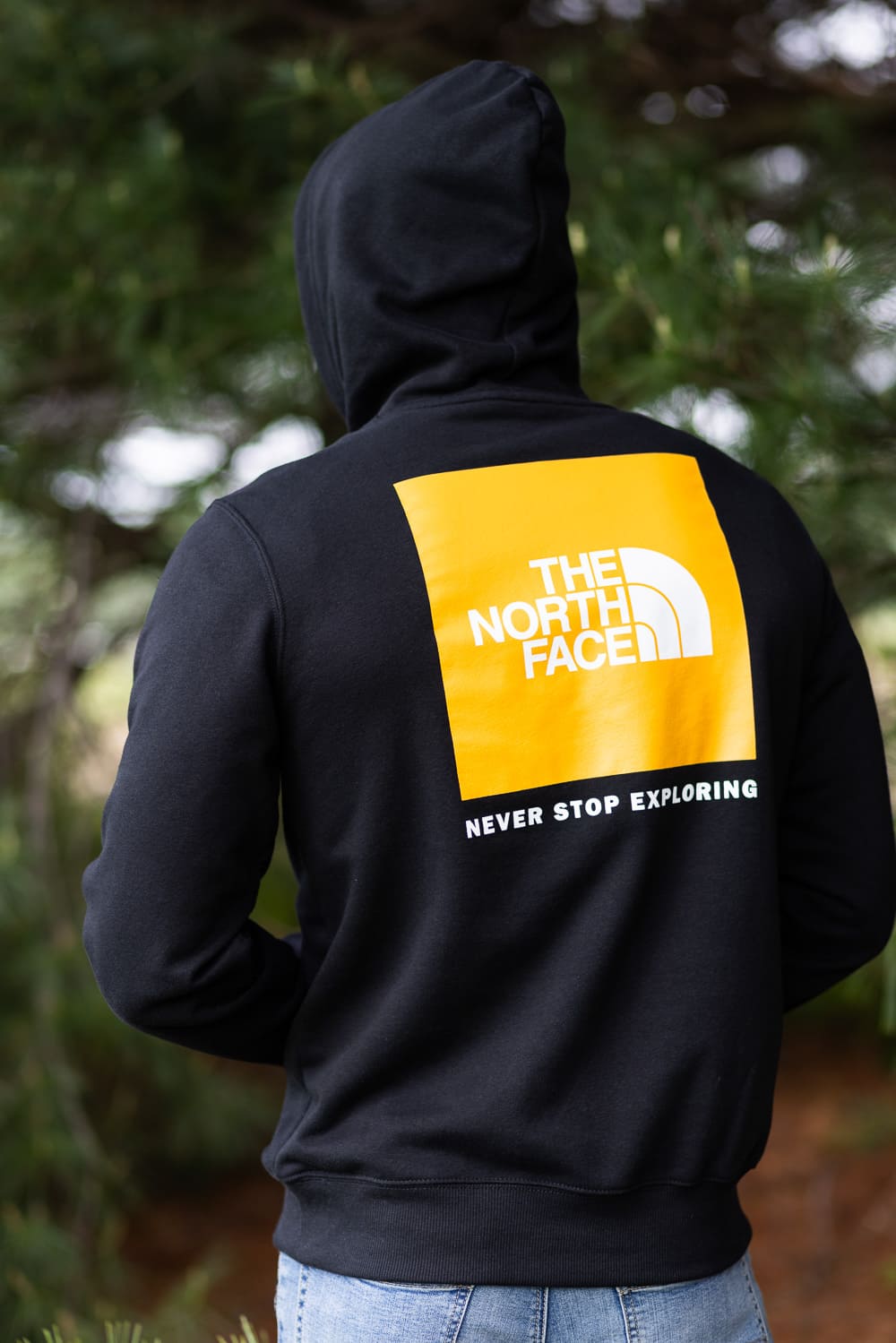 The North Face Box Logo Hoodie for Men in Black 