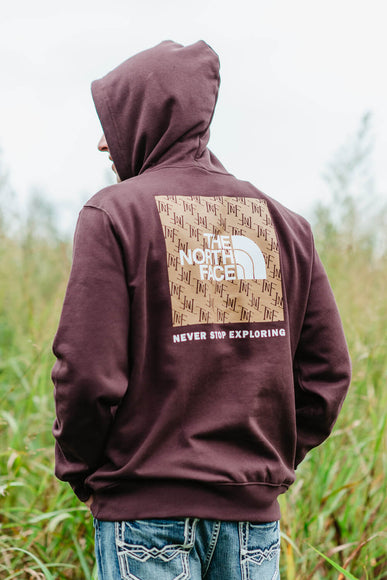 The North Face Box NSE Pullover Hoodie for Men in Brown