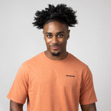 Patagonia Men’s P-6 Responsibili-Tee T-Shirt in Redtail Rust