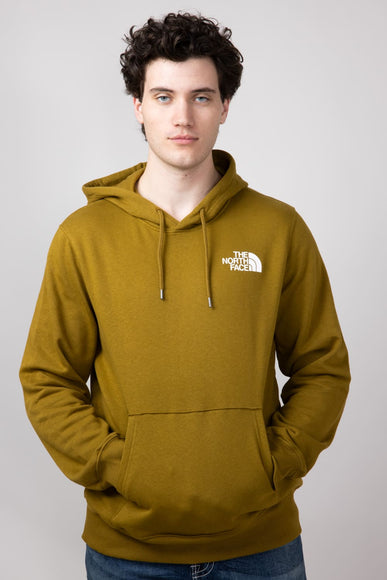 The North Face Box Logo Hoodie for Men in Green