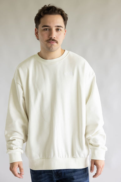 The North Face Evolution Crew Oversized Sweatshirt for Men in White | NF0A8FKR-QLI