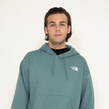 The North Face Evolution Vintage Hoodie for Men in Sage Green
