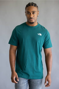 The North Face Mountain Sketch T-Shirt for Men in Teal