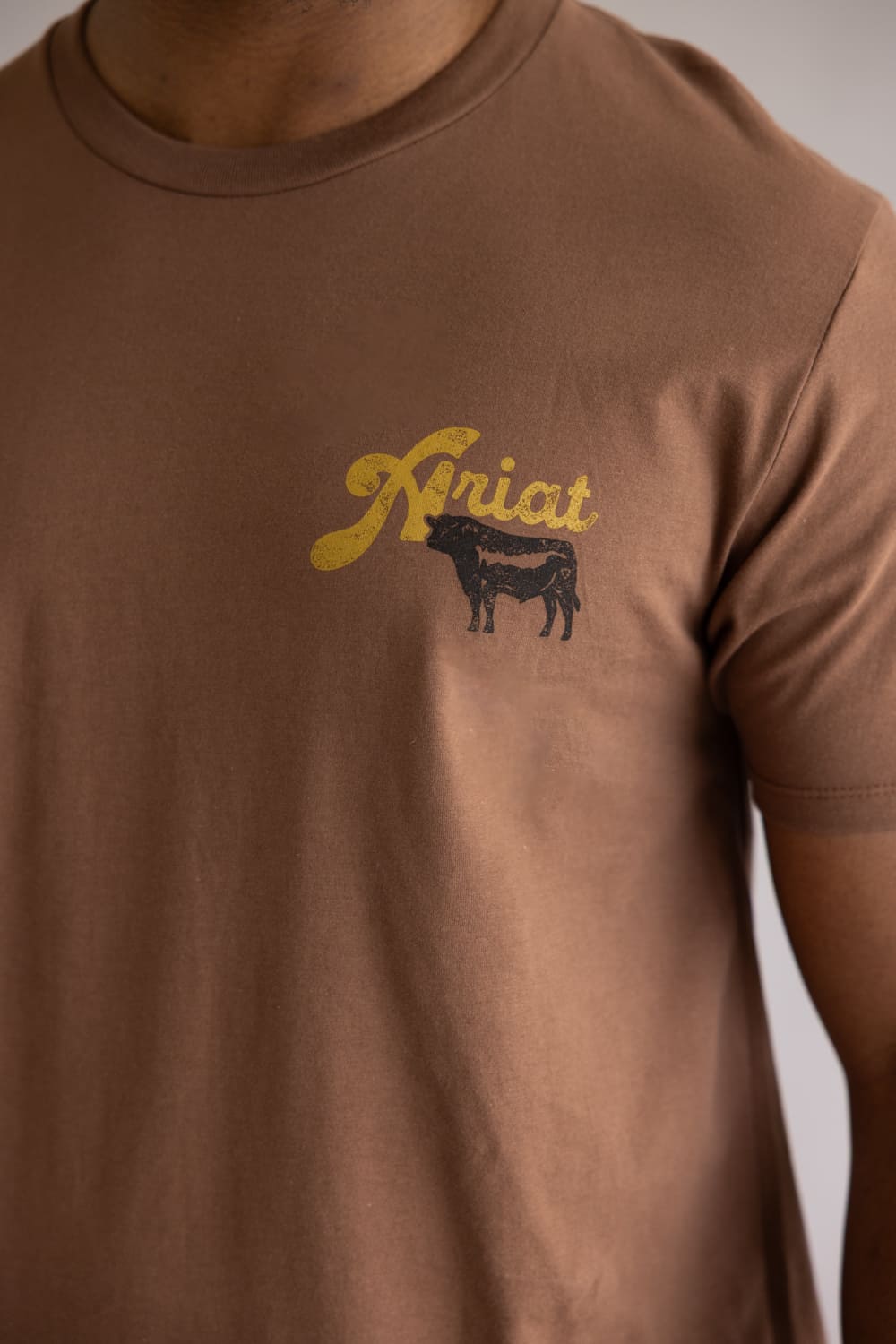 Ariat BBQ Smoke T-Shirt for Men in Soft Silt