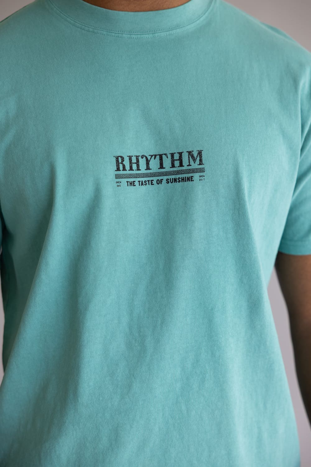 Rhythm Cactus Vintage T-Shirt for Men in Wasabi