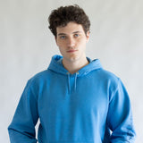 Carhartt Logo Sleeve Hoodie for Men in Horizon Blue