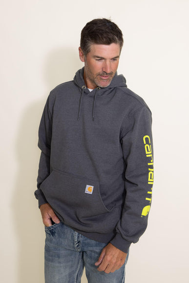 Carhartt Logo Sleeve Graphic Hoodie for Men in Grey