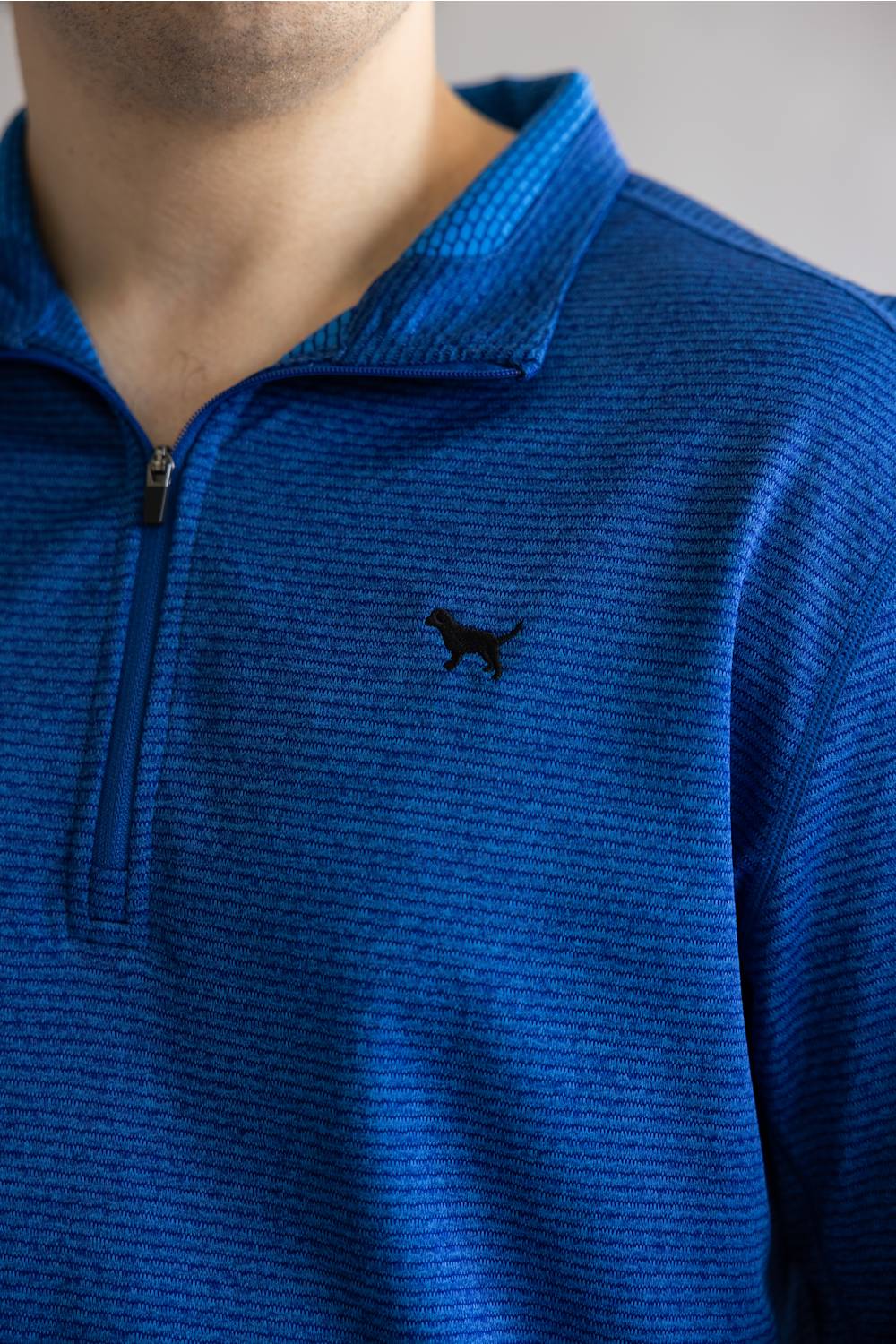 Close-up of a person wearing a textured royal blue quarter-zip pullover with a small black dog logo on the left chest.