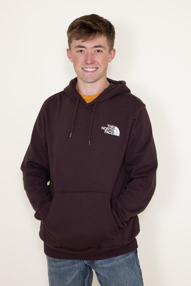 The North Face Box NSE Pullover Hoodie for Men in Brown