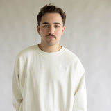 The North Face Evolution Crew Oversized Sweatshirt for Men in White | NF0A8FKR-QLI