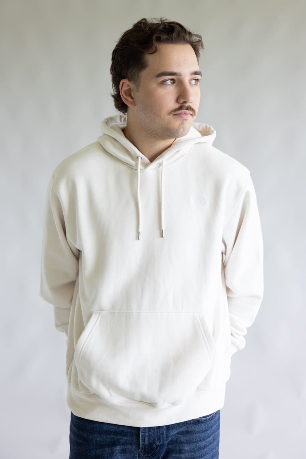 The North Face Evolution Embroidered Logo Hoodie for Men in Dune