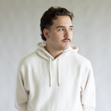 The North Face Evolution Embroidered Logo Hoodie for Men in Dune