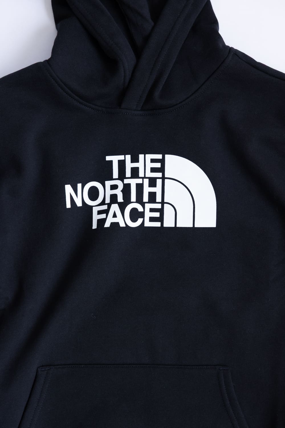 The North Face Teen Evolution Half Dome Hoodie in Black