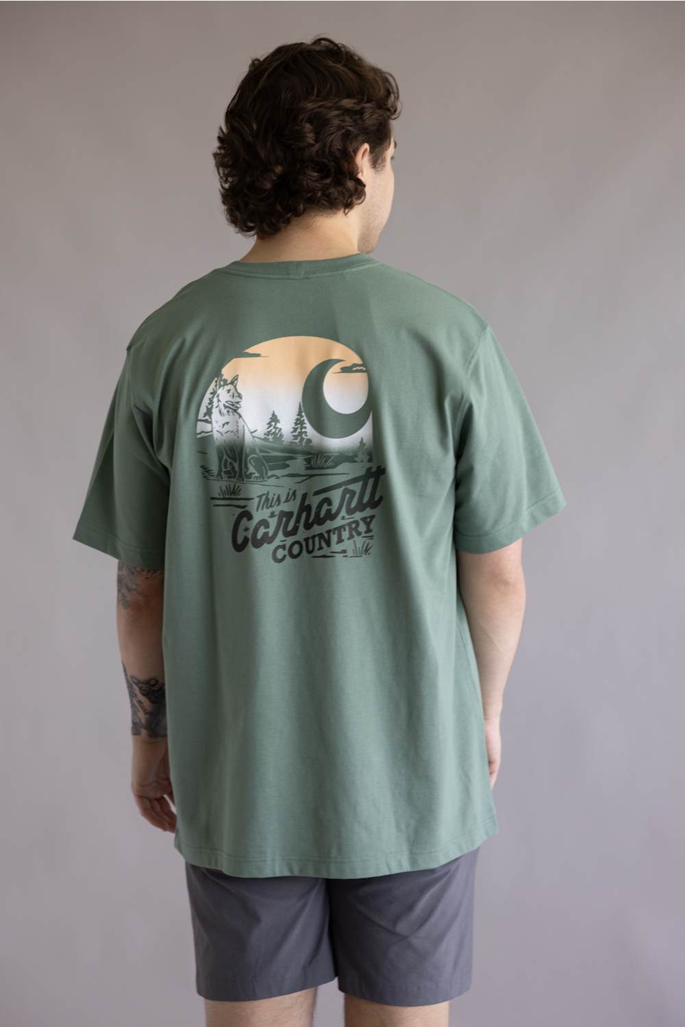 Carhartt Irvine Relaxed Country T-Shirt for Men in Green Slate