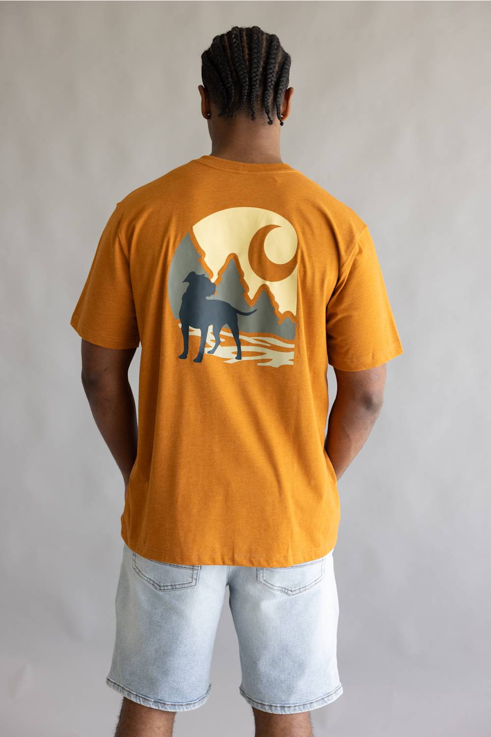 Carhartt Irvine Relaxed Dog T-Shirt for Men in Rusted Rail Heather