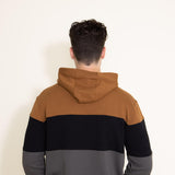 1897 Active Colorblock Hoodie for Men in Brown