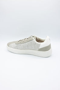 ADYRO Primo Sneakers for Men in Ash Grey
