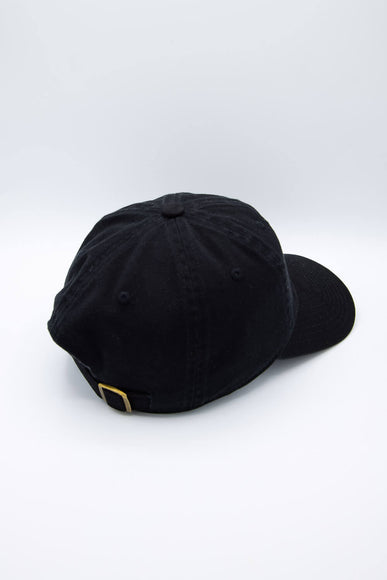 American Needle Ballpark Pickle Club Hat in Black