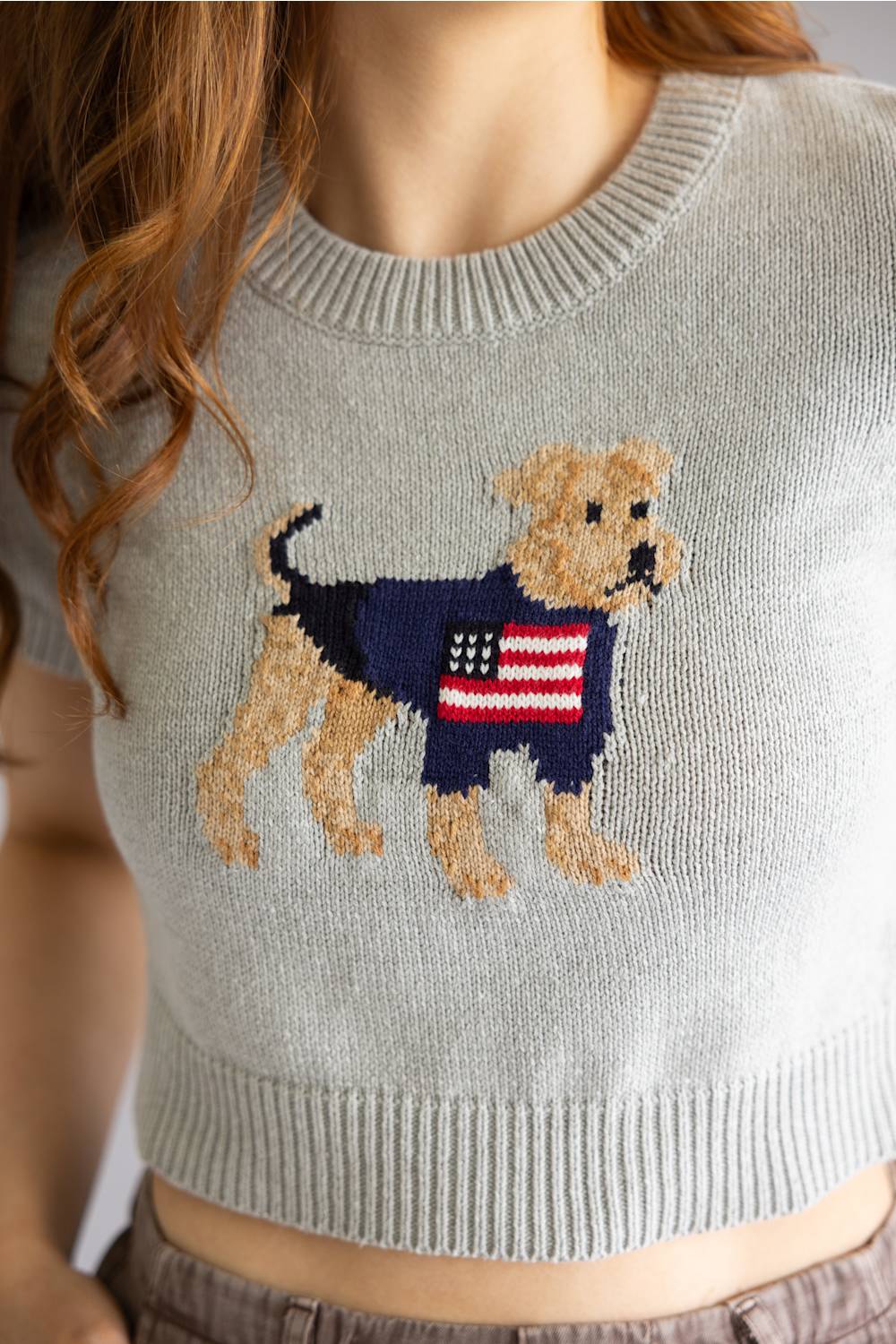 Americana Dog Cropped Sweater Top for Women in Heather Grey