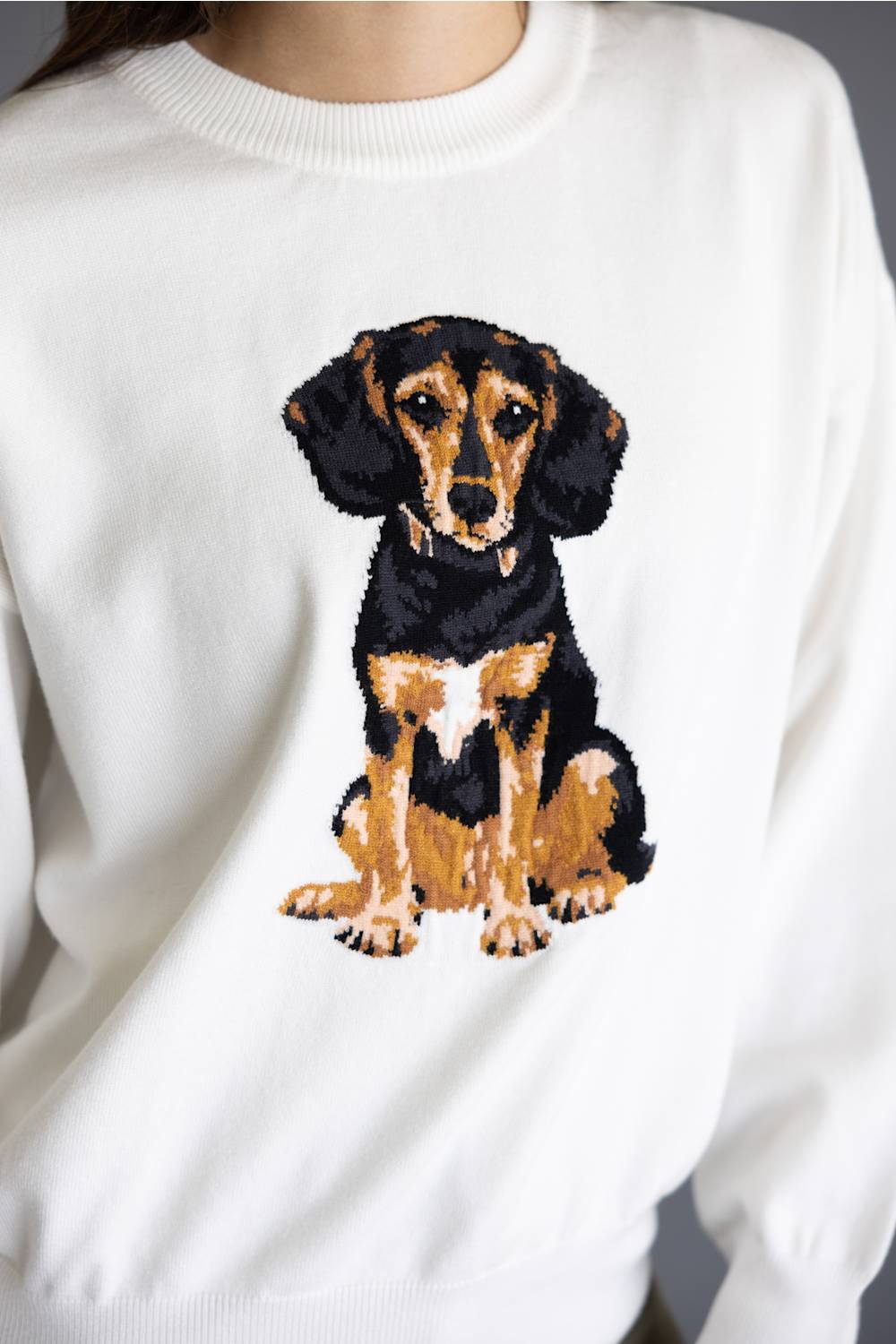 A close-up of a person wearing a white crewneck sweatshirt with a detailed graphic of a black and tan dachshund dog on the front.