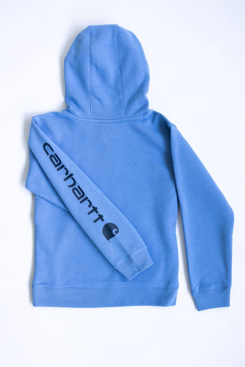 A light blue Carhartt hoodie shown from the back, featuring the brand's name and logo printed in black along the left sleeve, laid flat on a white background.