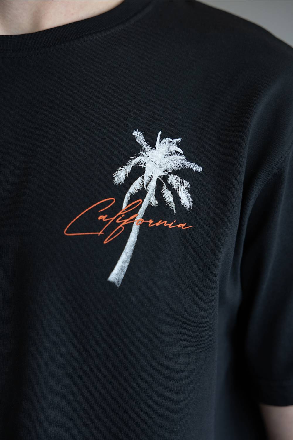 Denim & Flower California Dog T-Shirt for Men in Black