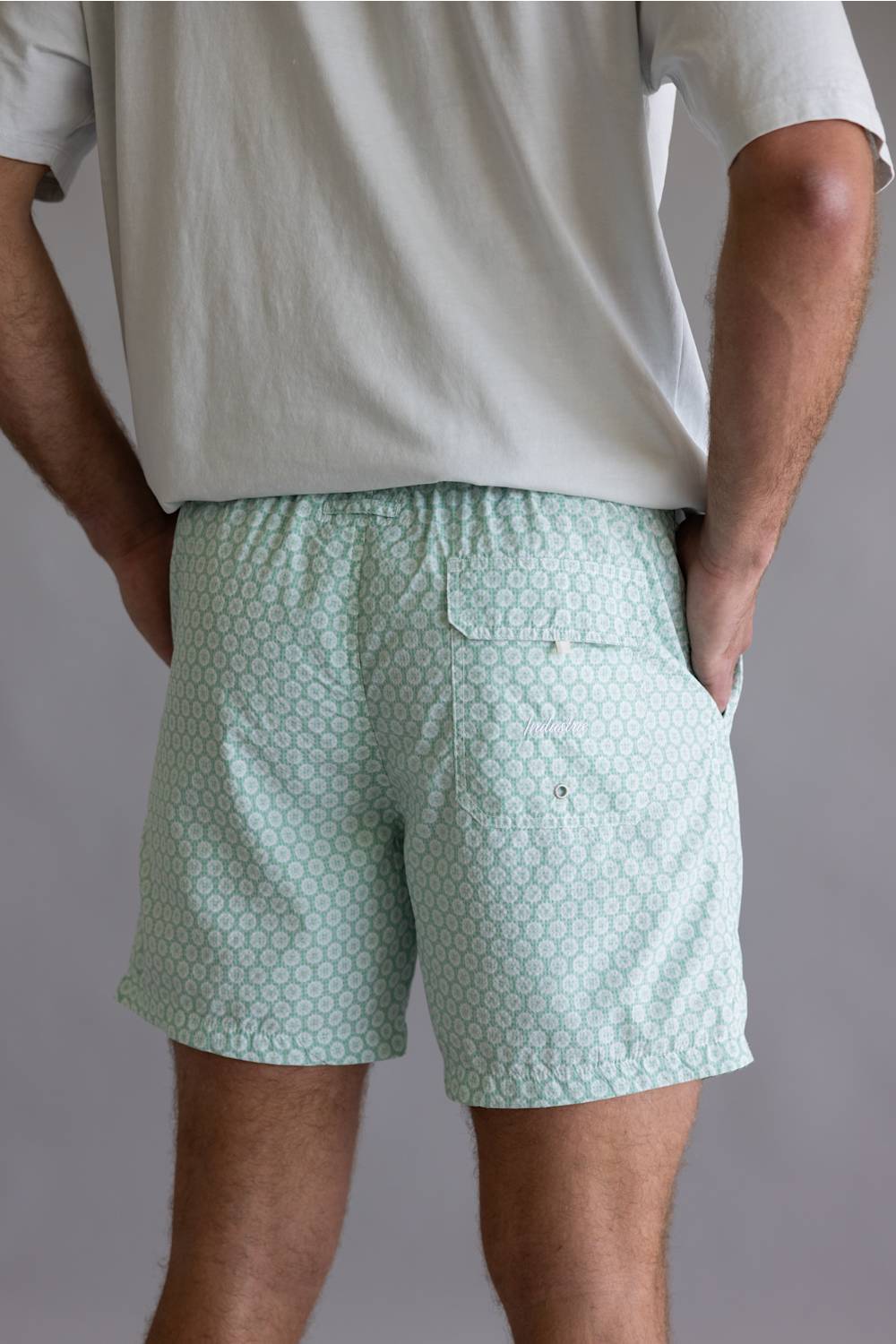 Industrie Aruba Swim Shorts for Men in Mint