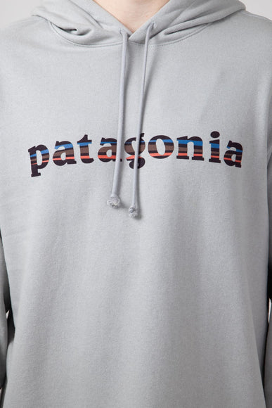 Patagonia Men’s ’73 Lightweight Wildrise Logo Hoodie in Ink Salt Grey